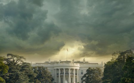 How Trump’s Oval Office Became a Global Interrogation Room