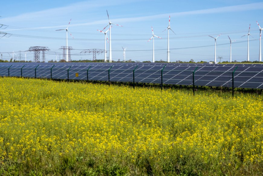 The Expensive Green Delusion